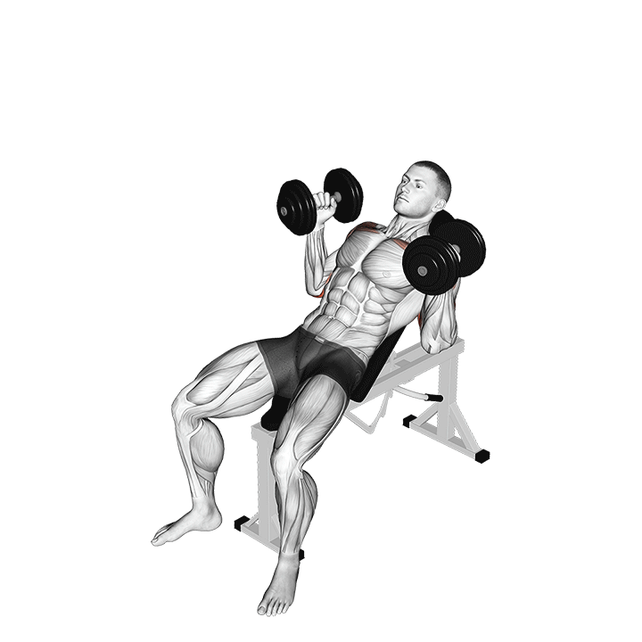 Incline Neutral Grip Dumbbell Press exercise animation