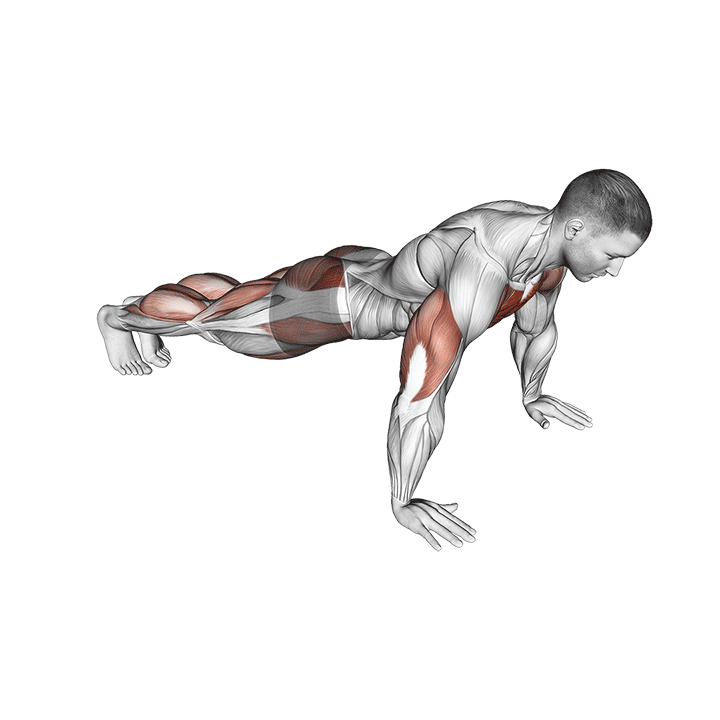 Jack Push-Up exercise animation