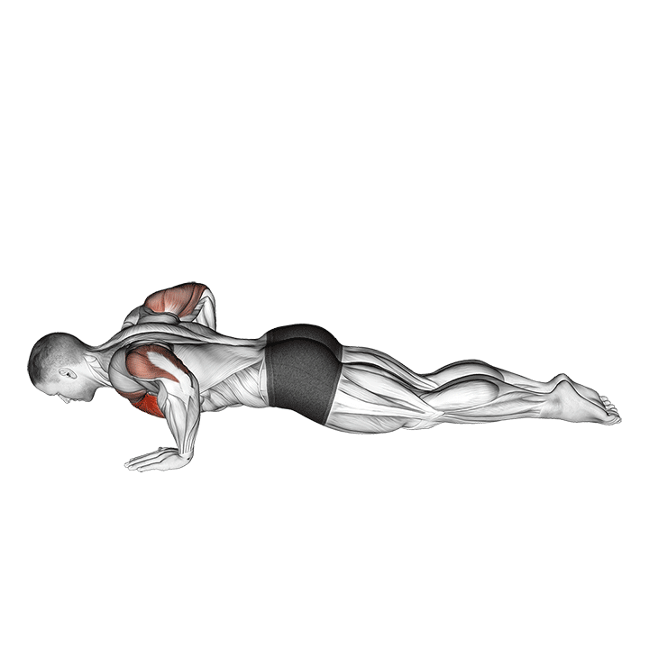 Knee Push-Up exercise animation