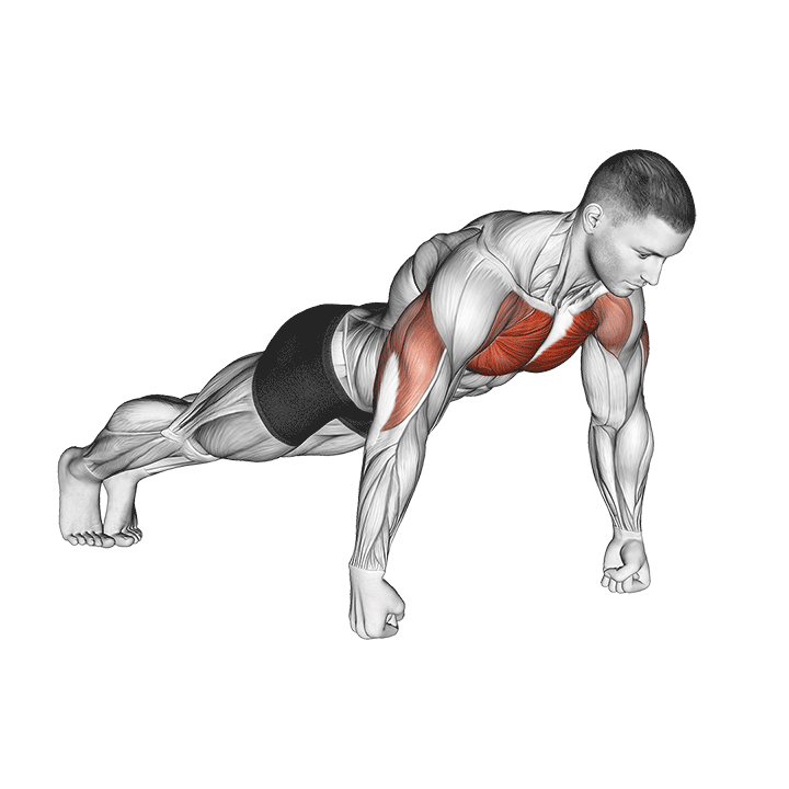 Knuckle Push-Up exercise animation