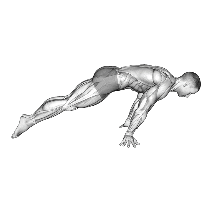 Lean Planche exercise animation
