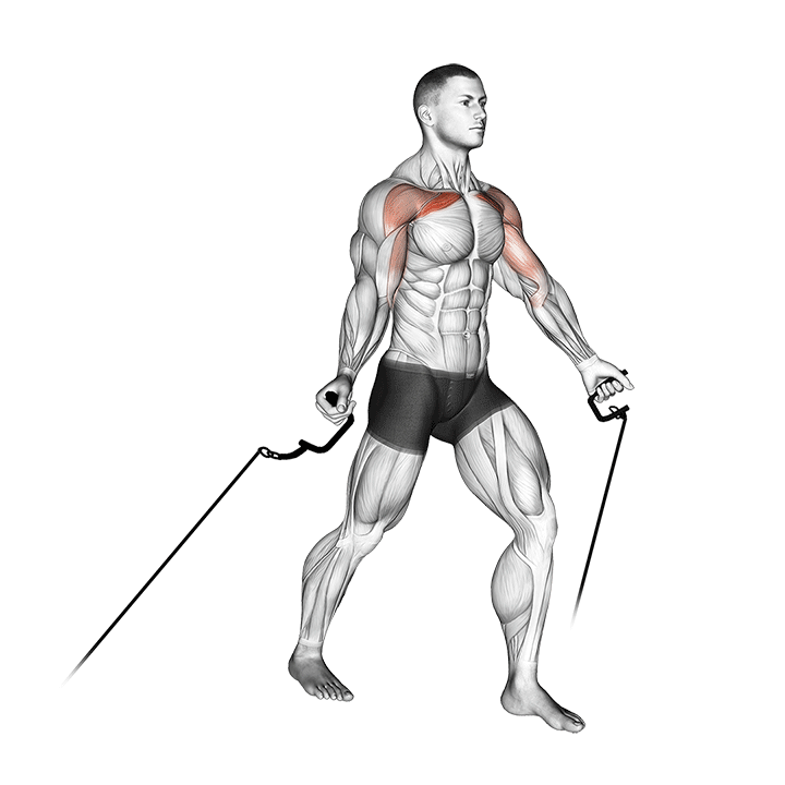 Low High Cable Chest Fly exercise animation