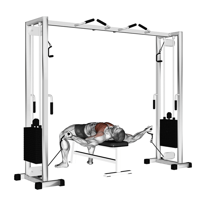 Lying Cable Fly exercise animation