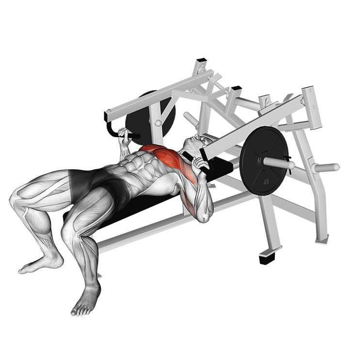 Lying Chest Press exercise animation
