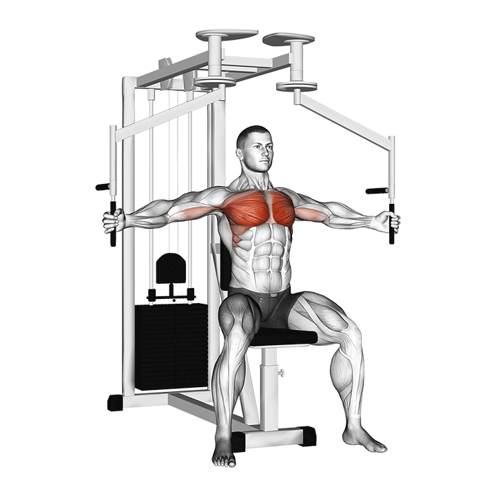 Machine Chest Fly exercise animation