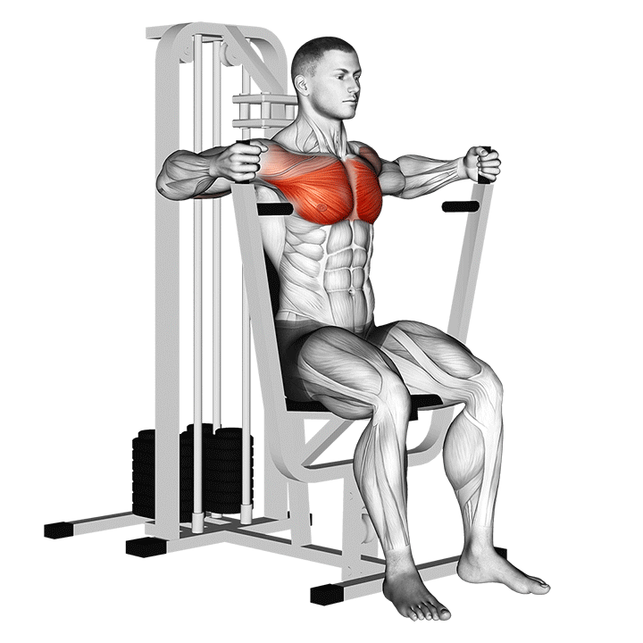 Machine Chest Press Hammer Grip exercise animation