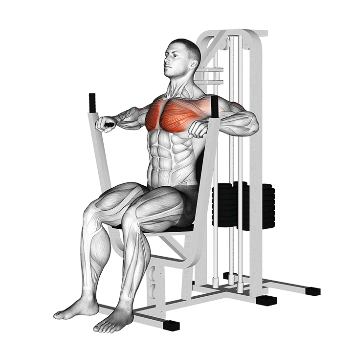 Machine Chest Press exercise animation