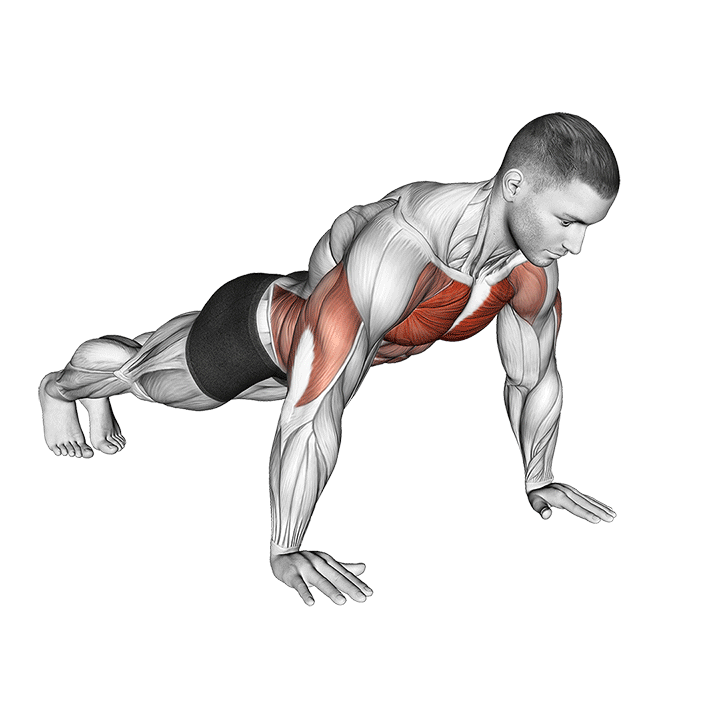 Negative Push-Up exercise animation