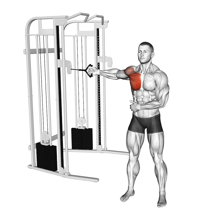One-Arm Cable Fly exercise animation