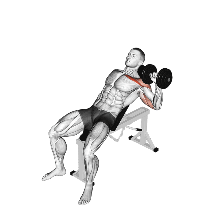 One-Arm Dumbbell Incline Bench Press exercise animation