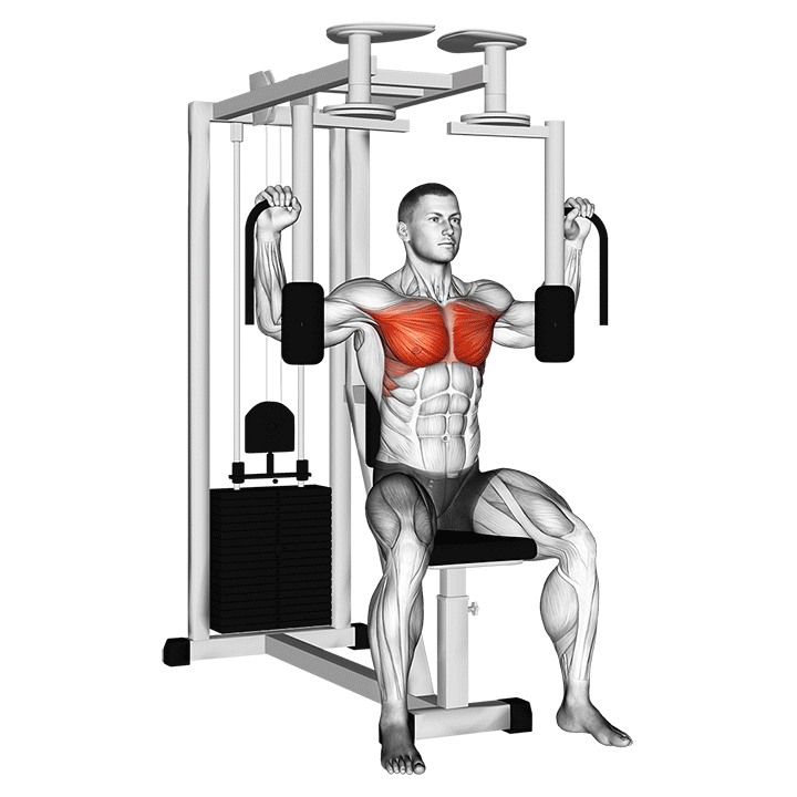 Pec Deck Chest Fly exercise animation