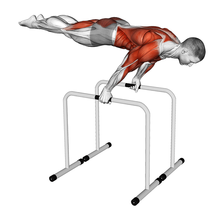 Planche Dips exercise animation