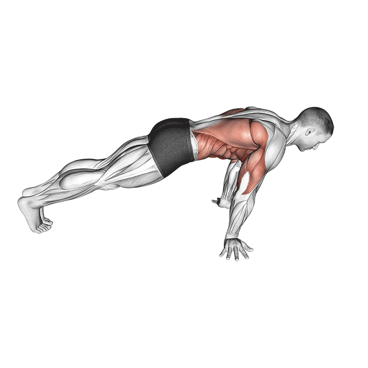 Planche Push-Up exercise animation