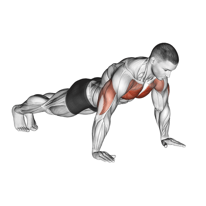 Push-Up exercise animation