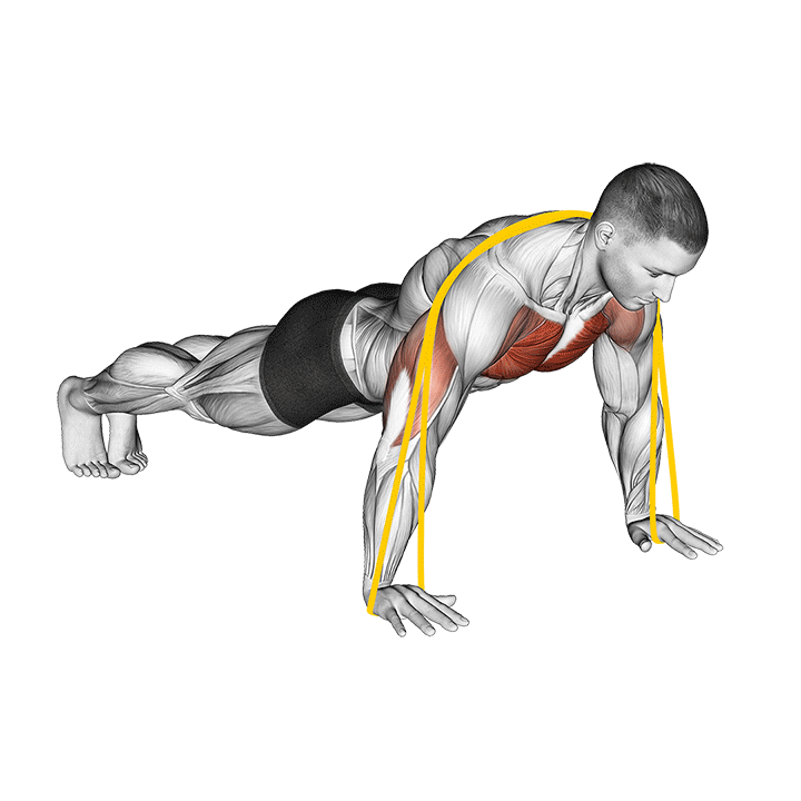 Resistance Band Push-Up exercise animation