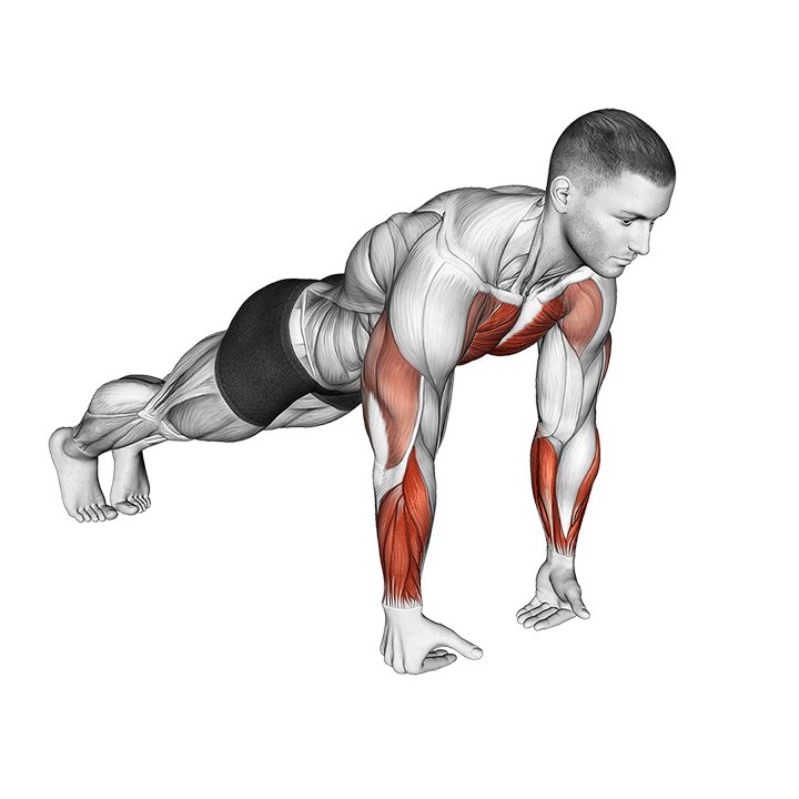 Reverse Wrist Push-Up exercise animation