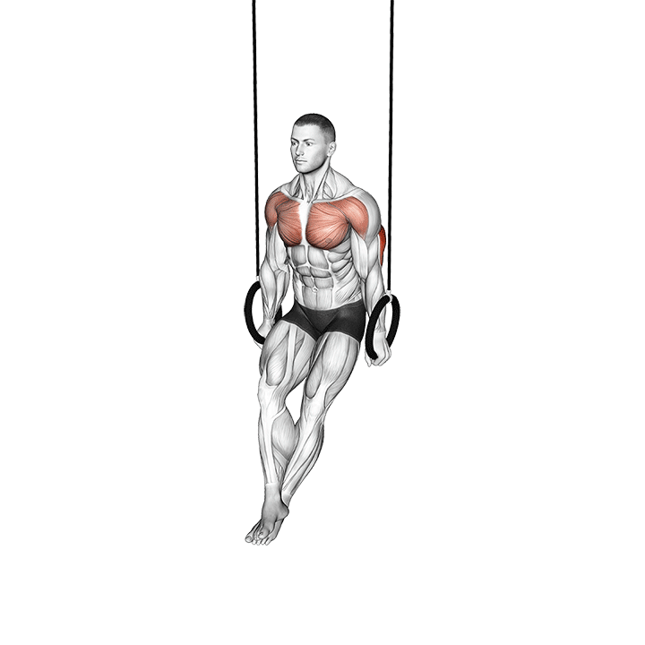 Ring Dips exercise animation
