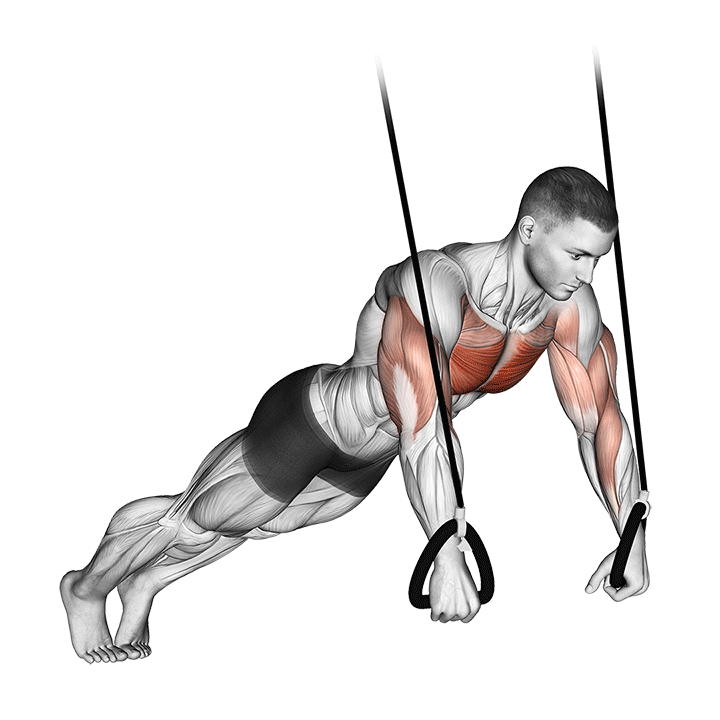 Ring Push-Up exercise animation