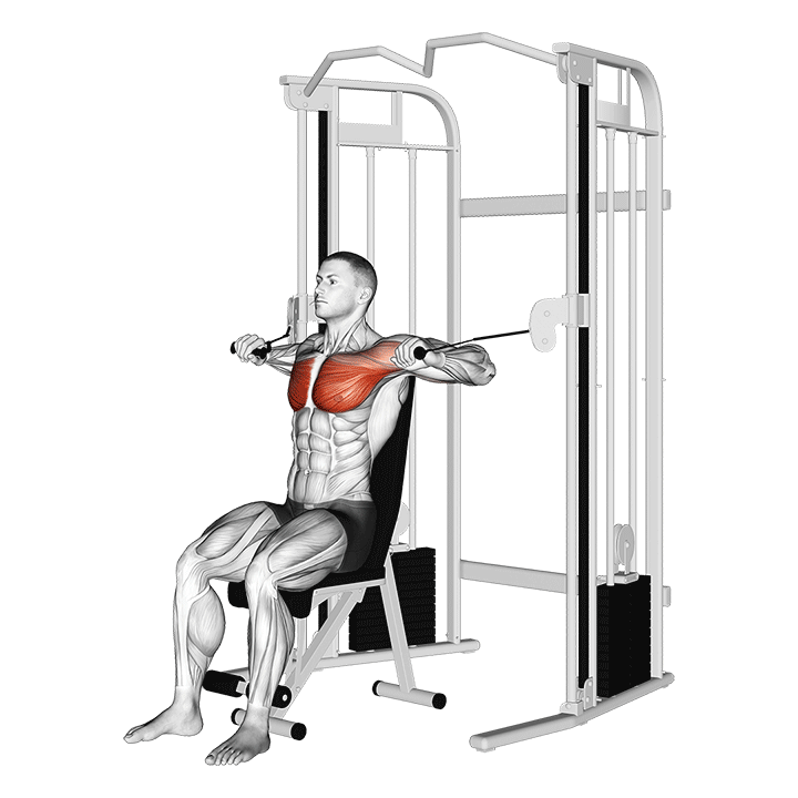 Seated Cable Chest Press exercise animation