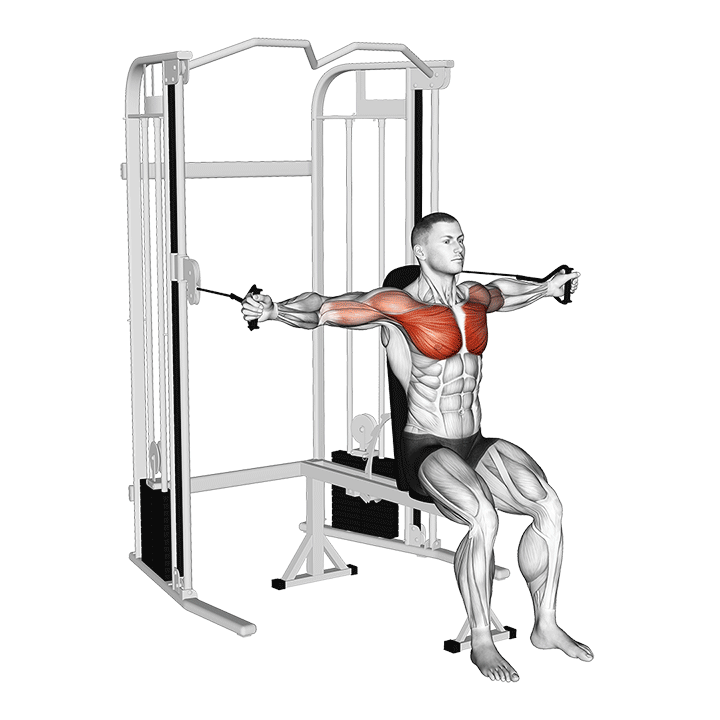 Seated Cable Fly exercise animation