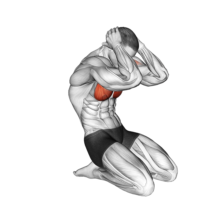 Seated Chest Clam exercise animation