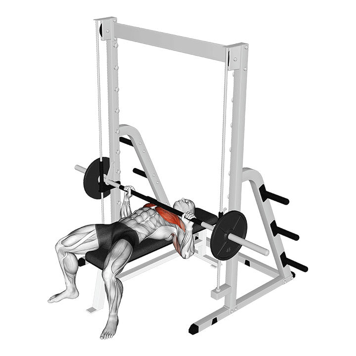 Smith Bench Press exercise animation