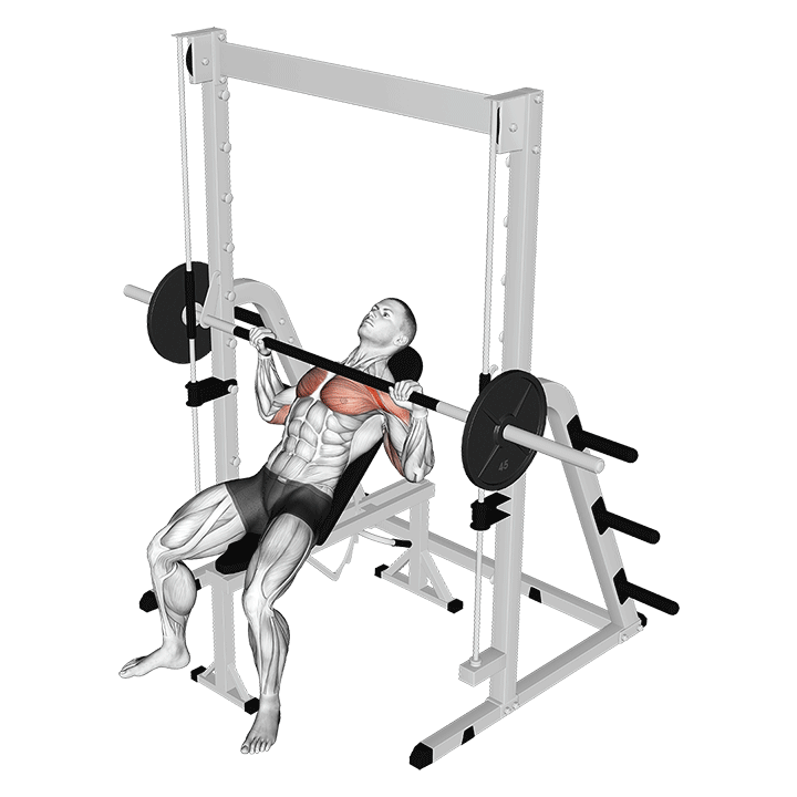 Smith Incline Chest Press exercise animation