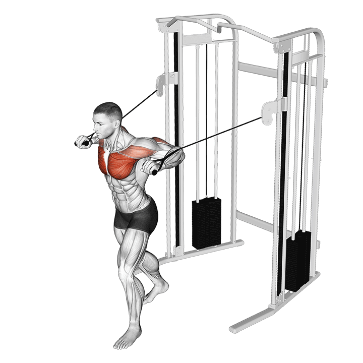 Standing Cable Chest Press exercise animation