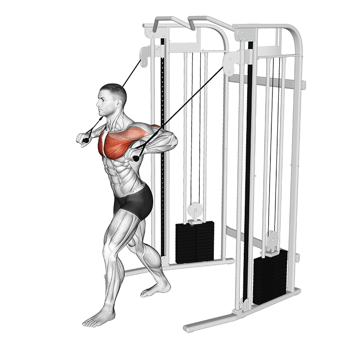 Standing Cable Low Chest Press exercise animation
