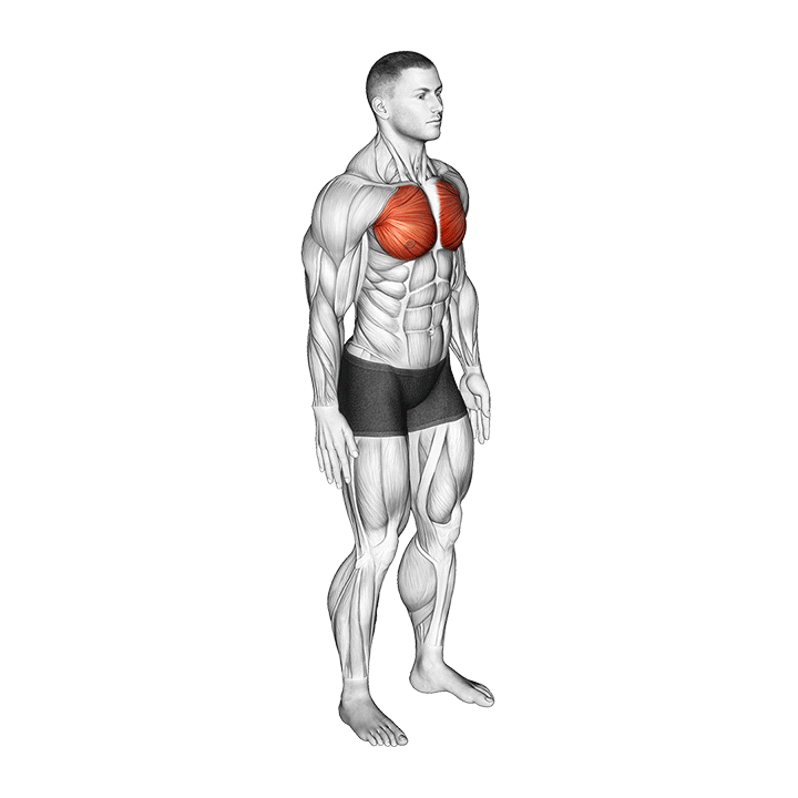 Standing Chest Opener exercise animation