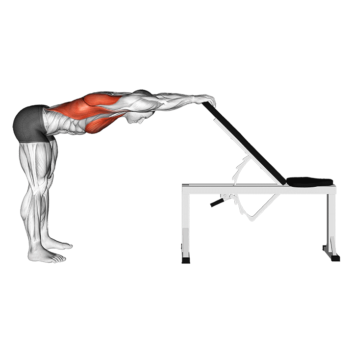 Standing Downward Dog exercise animation