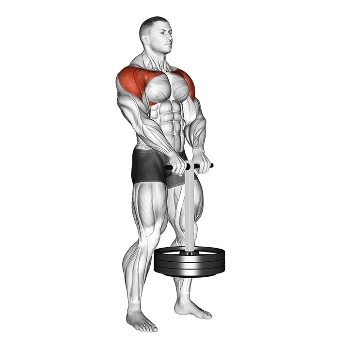 Static Front Hold exercise animation