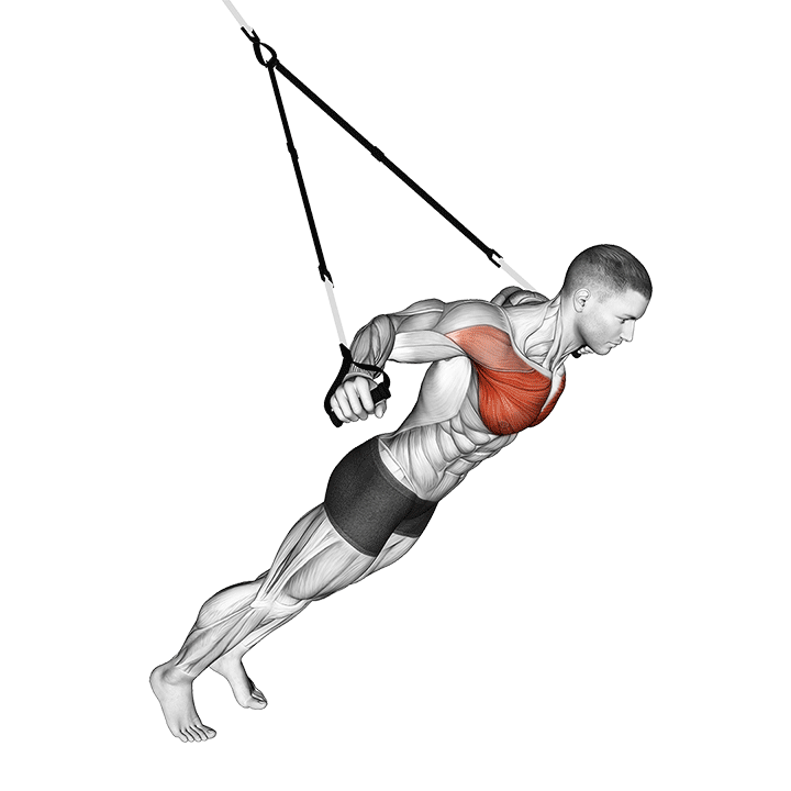 Suspension Chest Fly exercise animation
