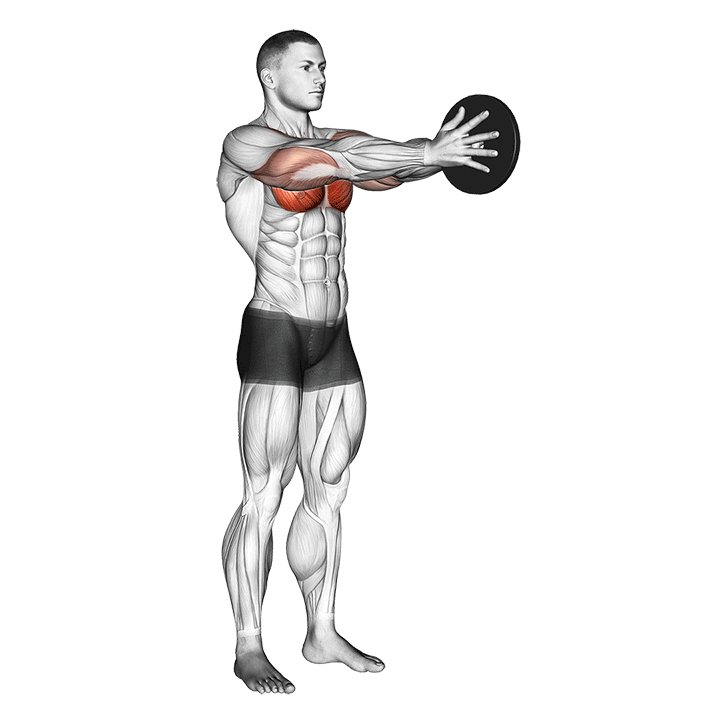 Svend Press exercise animation