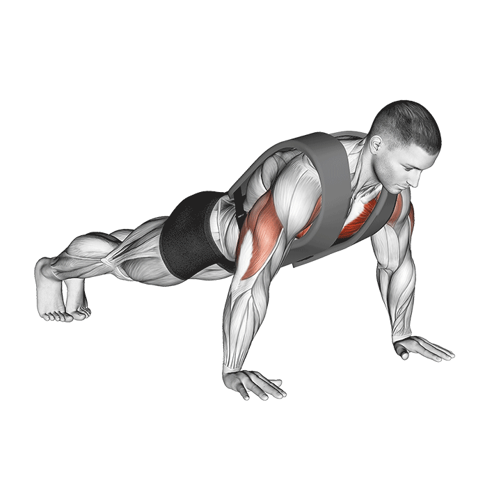 Weighted Push-Up exercise animation