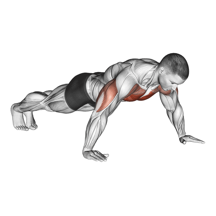 Wide Hand Push-Up exercise animation