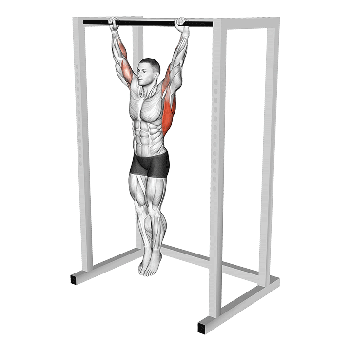 Dead Hang exercise animation