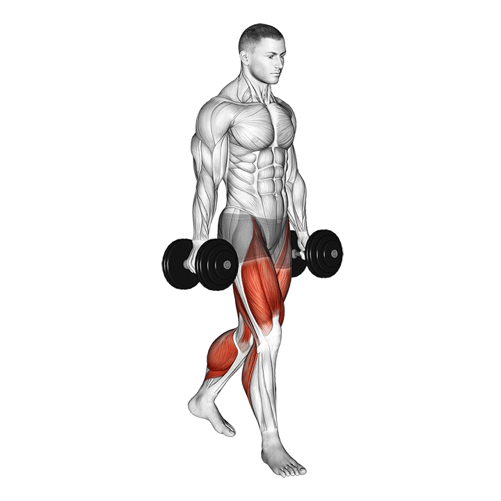 Dumbbell Farmer Carry exercise animation