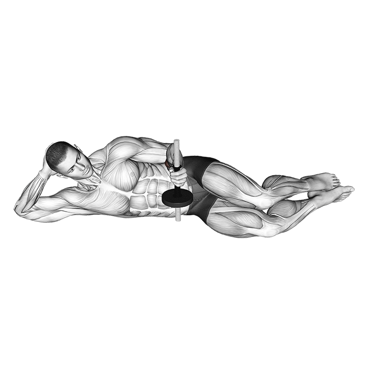 Dumbbell Lying Pronation exercise animation