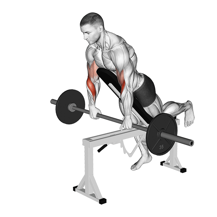 EZ-Bar Reverse Spider Curl exercise animation