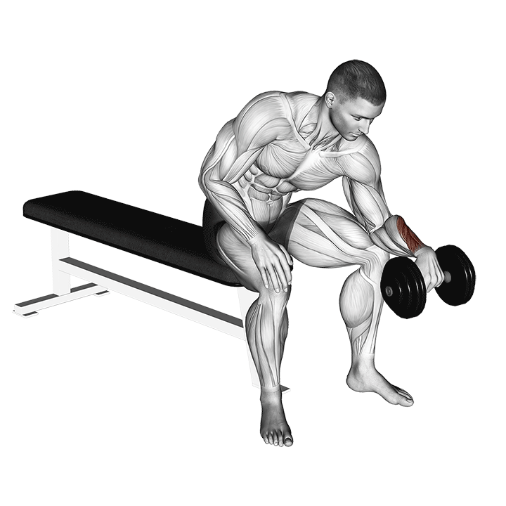 One-Arm Dumbbell Reverse Wrist Curl exercise animation