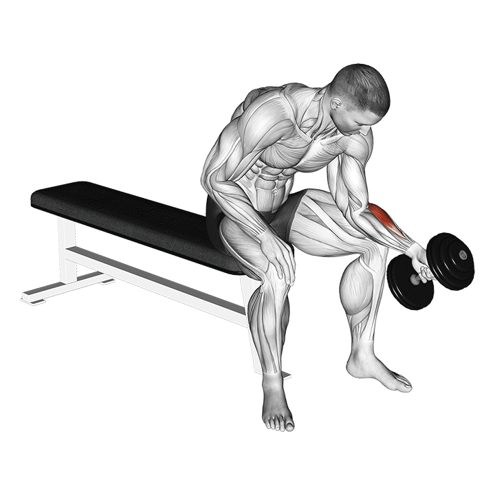 One-Arm Neutral Wrist Dumbbell Curl exercise animation