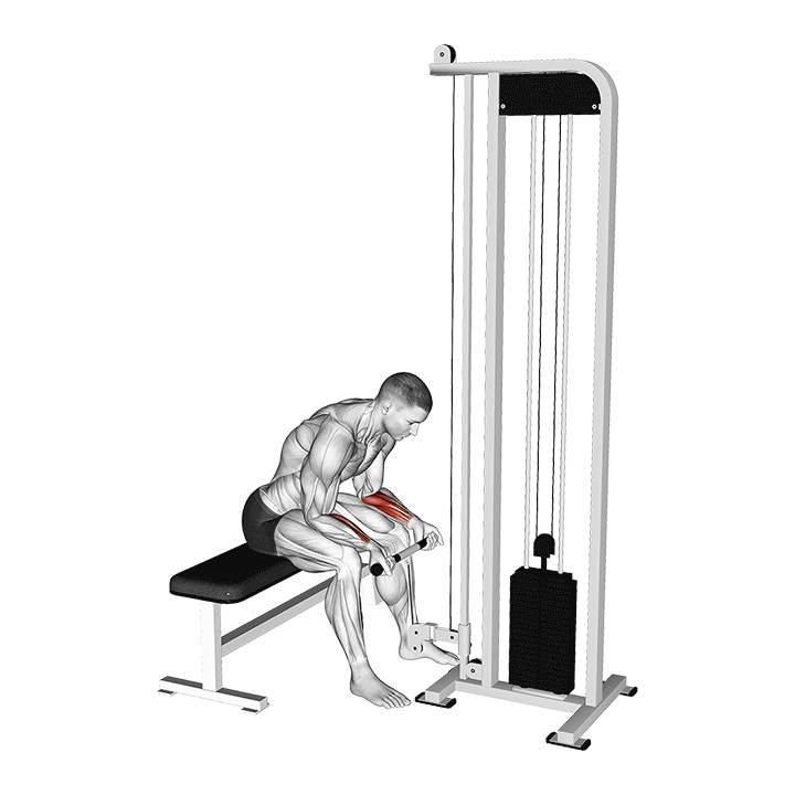 Seated Cable Wrist Curl exercise animation