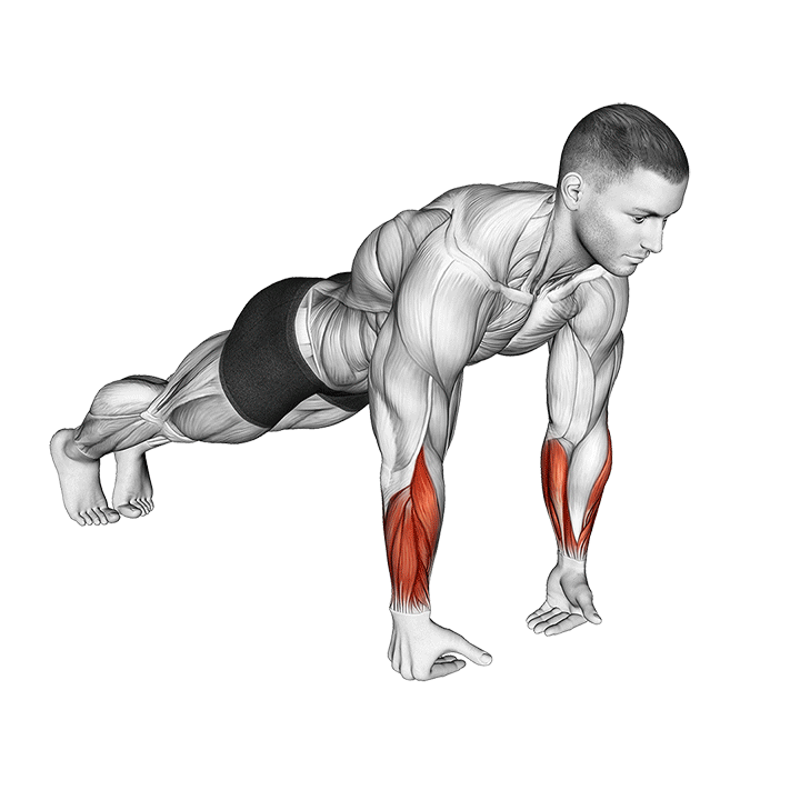 Wrist Push-Up exercise animation