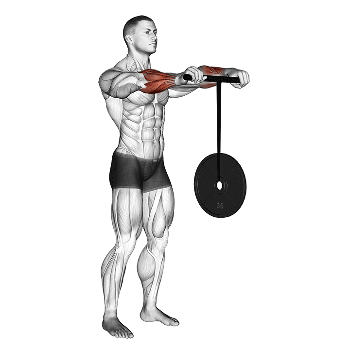 Wrist Roller exercise animation