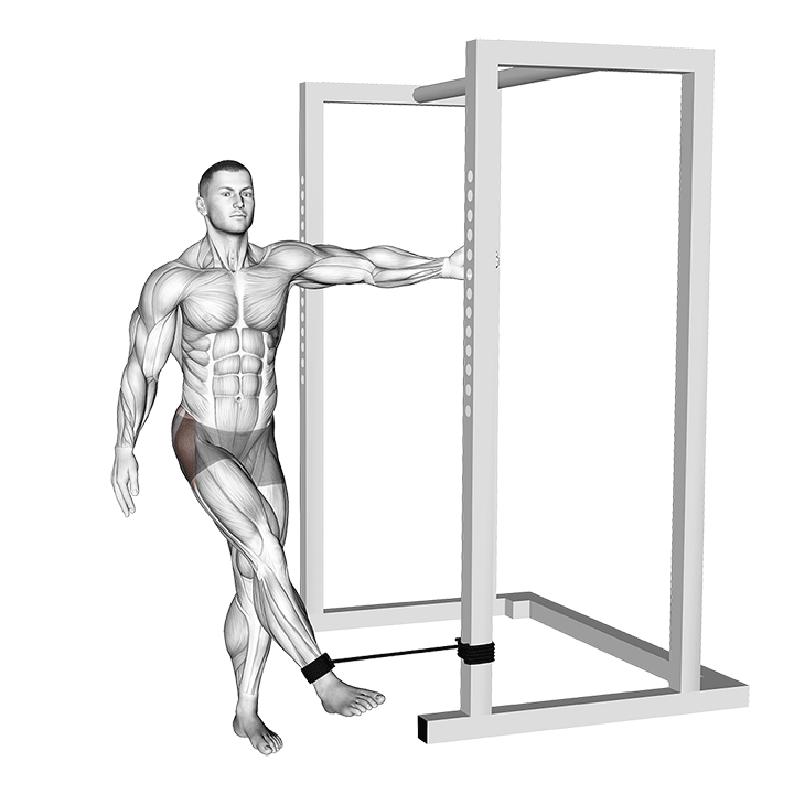 Band Hip Abduction exercise animation