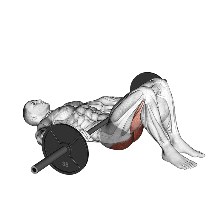 Barbell Glute Bridge exercise animation