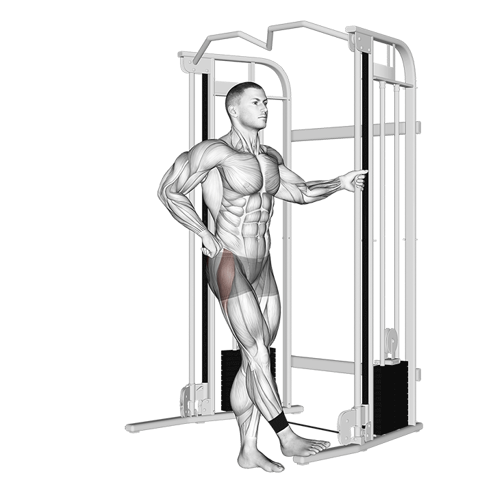 Cable Hip Abducction exercise animation