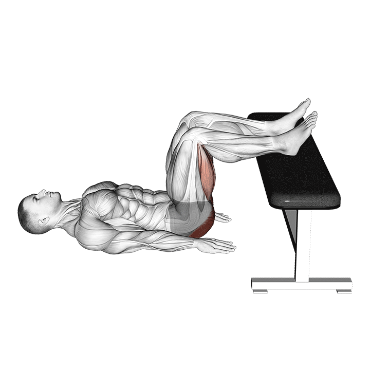 Glute Bridge on Bench exercise animation