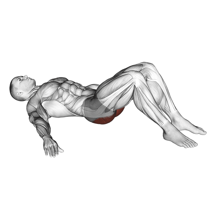 Glute Bridge exercise animation